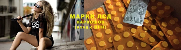 молекула духа Арсеньев