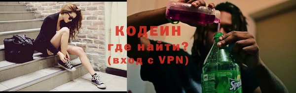 молекула духа Арсеньев