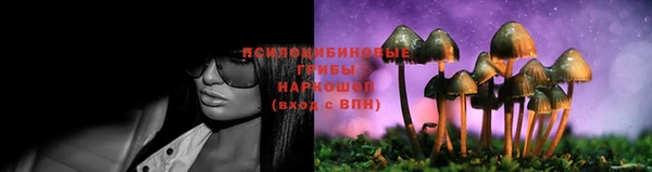 молекула духа Арсеньев