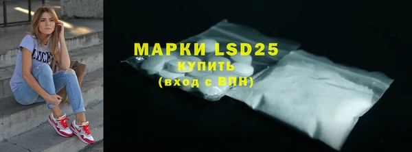 индика Армянск