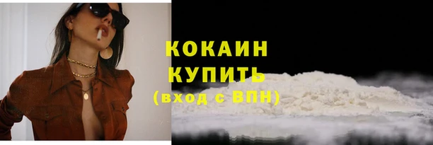 индика Армянск