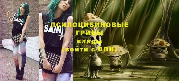 индика Армянск