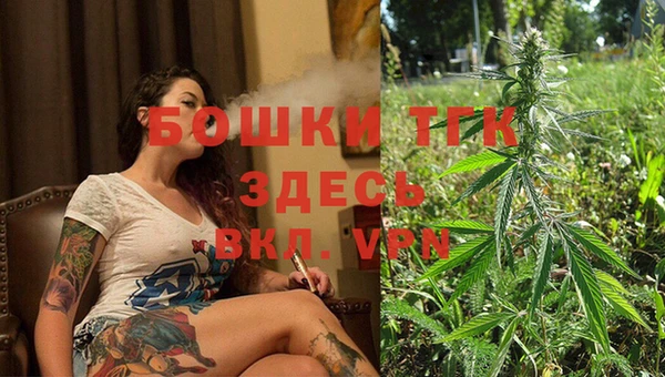 молекула духа Арсеньев