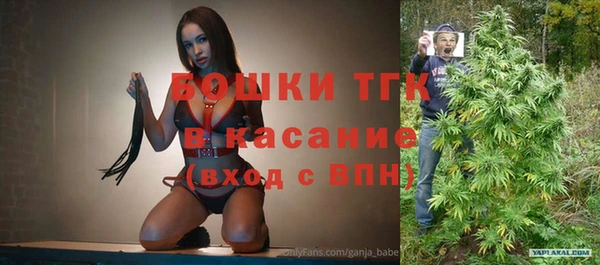 молекула духа Арсеньев