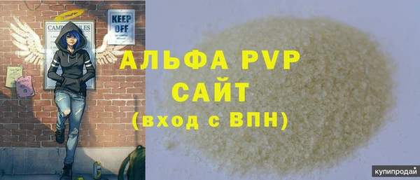 молекула духа Арсеньев