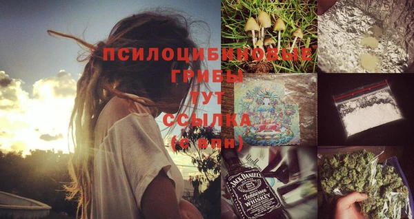 Альфа ПВП Аркадак