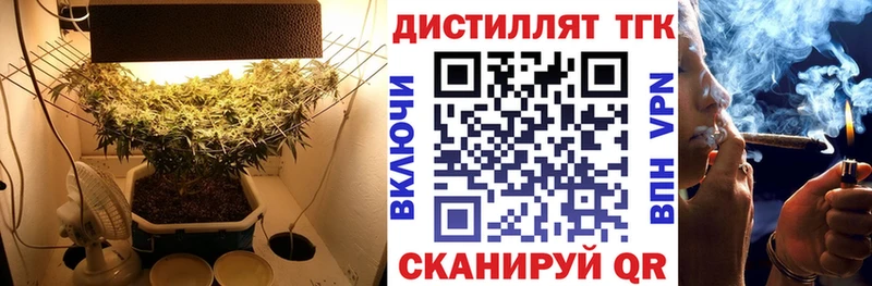 Купить закладки  Партизанск  ТГК гашишное масло 