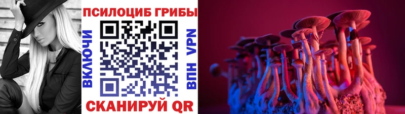 Купить закладки  Партизанск  Псилоцибиновые грибы Magic Shrooms 